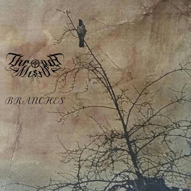 Through Mists - Branches