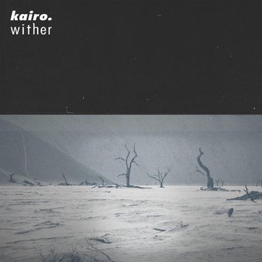 kairo. - wither