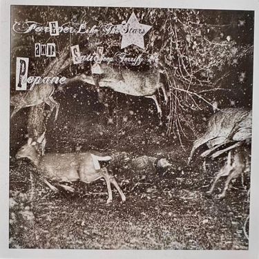 foreverlikethestars, Propane & static sheep terrify me - Split the Difference...