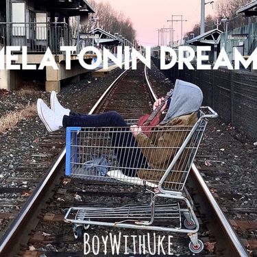 BoyWithUke - nihlist