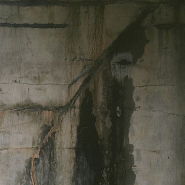 Grith - mold