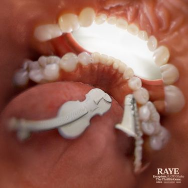 RAYE & 070 Shake - Escapism.