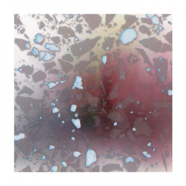 The Avulsions - Expanding Program