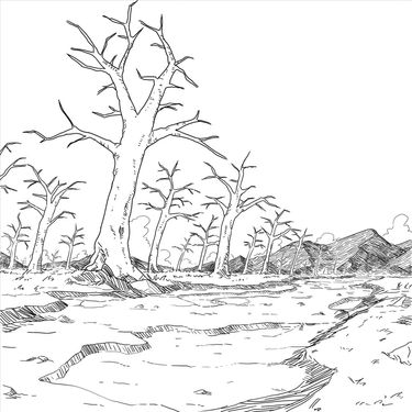 Tufty - dead trees