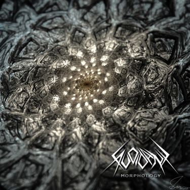 Avoidant - Morphology