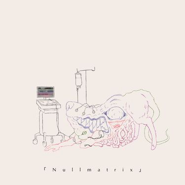 Strawberry Hospital - Nullmatrix