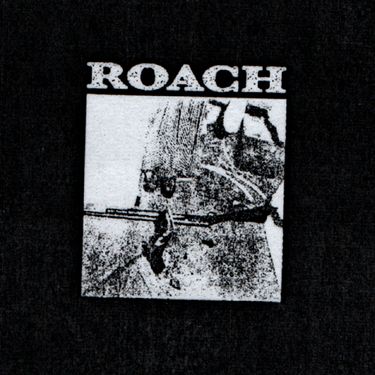 ROACH - DEMO