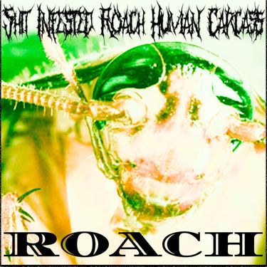Shit Infested Roach Human Carcass - Roach