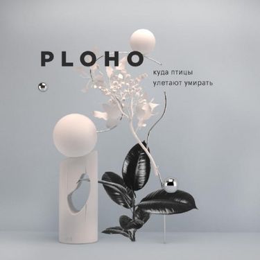 PLOHO - Куда птицы улетают умирать
