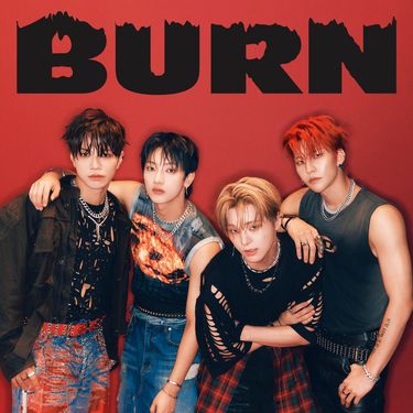 VANNER - BURN