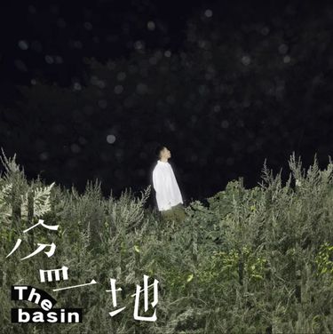郑兴 - 盆地
