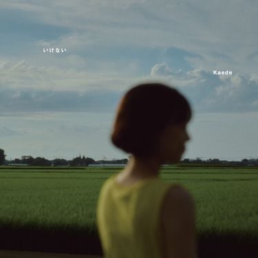 Kaede - Wrong