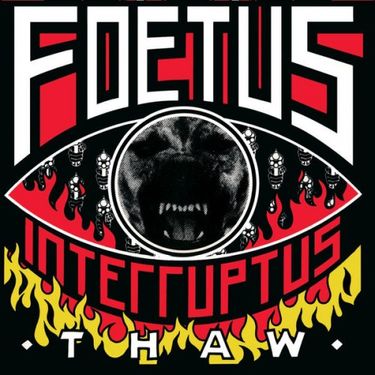 Foetus Interruptus - Thaw