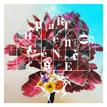 GRIDBUG - Parth&eacute;nog&eacute;n&egrave;se