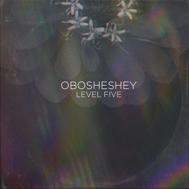 Level Five - Obosheshey