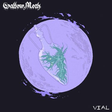 Sallow Moth - Vial