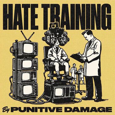 Punitive Damage - Hate Training