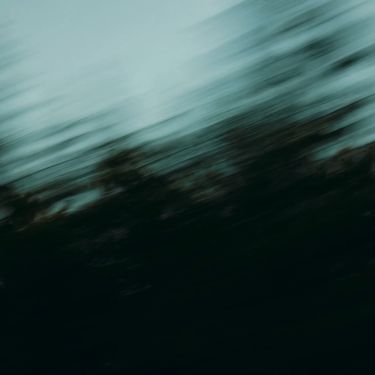 Shameless. - icarus