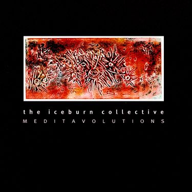 The Iceburn Collective - Meditavolutions