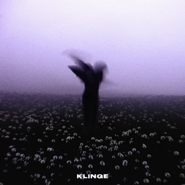 TEMMIS - Klinge