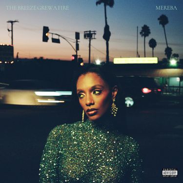 Mereba - Counterfeit
