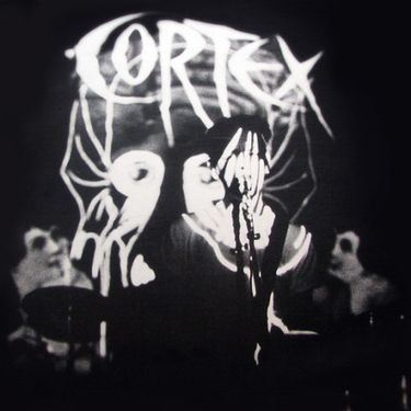 Cortex - Spinal Injuries
