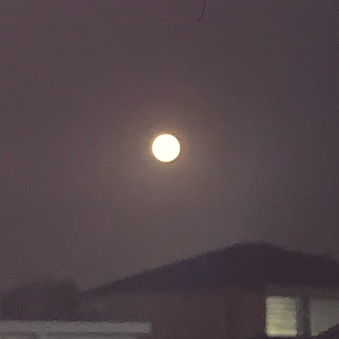 JJ. - Moon