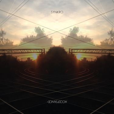 Synkro - Acceptance