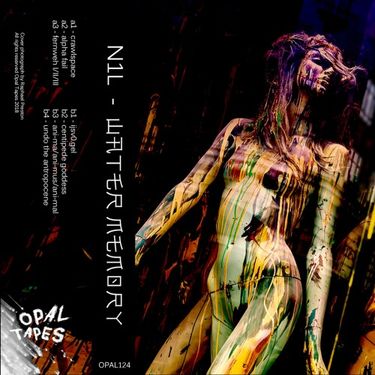N1L - 山卂ㄒ乇尺 爪乇爪ㄖ尺ㄚ