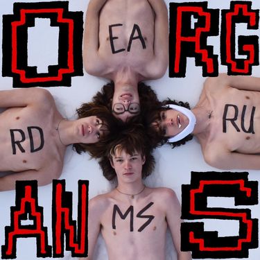 Eardrums - ORGANS