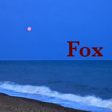 Daniel Caverly - Fox