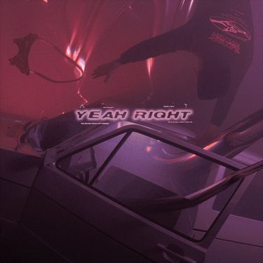 splitter - YEAH RIGHT