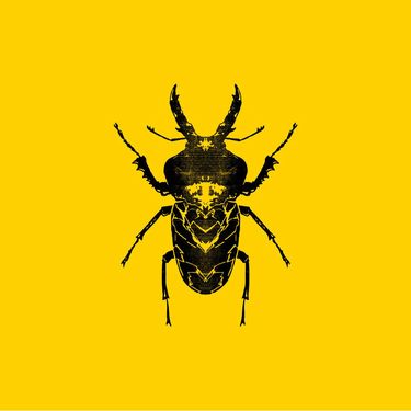 Golden Features - SECT