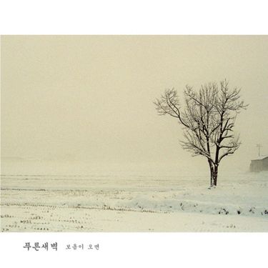 Bluedawn - 보옴이 오면 (When Spring Comes)