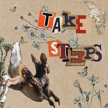 Take Steps - Take Steps