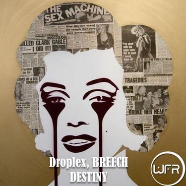 Droplex - Destiny