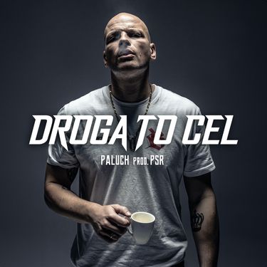 Paluch - Droga to cel