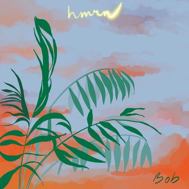 HMRN - Bob