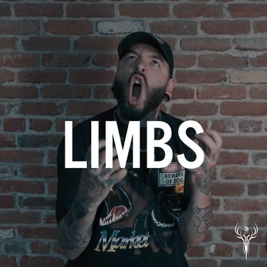 Phoenix Studios - Limbs