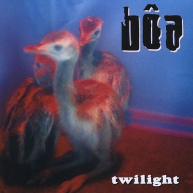 b&ocirc;a - Twilight