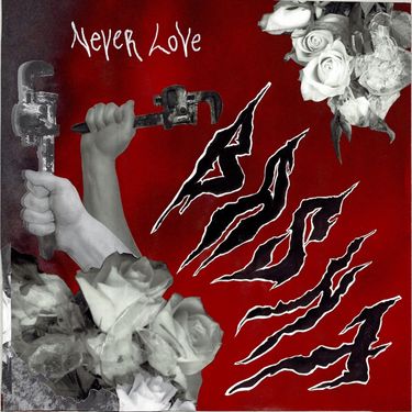 Basht. - Never Love.