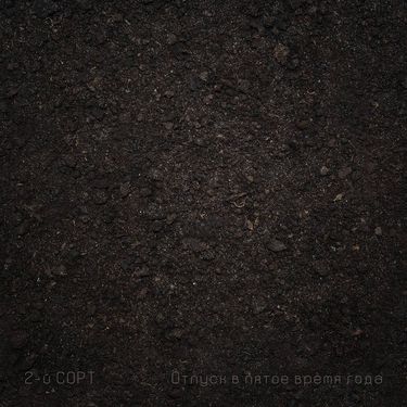 2-й СОРТ - Отпуск в пятое время года