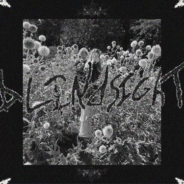 Blindsight - Blindsight