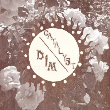 Catalyst... & Dim - dim/catalyst split