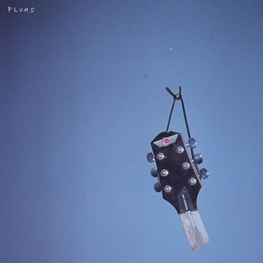Plums - Jen