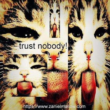 zaniel - trust nobody!