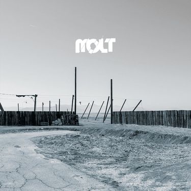 MOLT - MOLT
