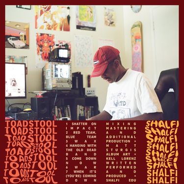 Shalfi - Toadstool