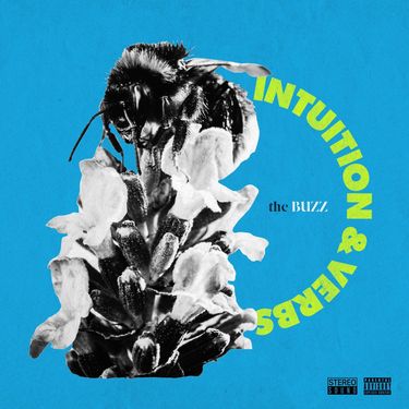 VerBS - Buzz