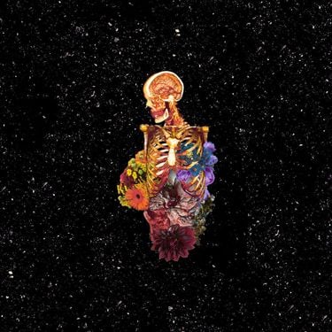 Getter - Visceral